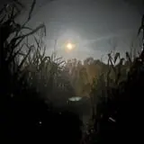 Hillside Horror photo