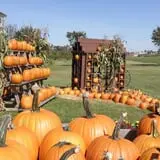 Lester Farm & Market photo