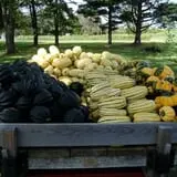 Lester Farm & Market photo