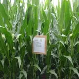 Lester Farm & Market photo