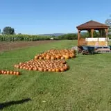 Lester Farm & Market photo