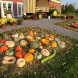 Lester Farm & Market photo