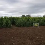 Lester Farm & Market photo
