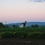 Lester Farm & Market photo
