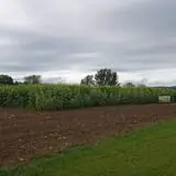 Lester Farm & Market photo