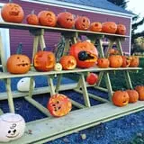 Lester Farm & Market photo