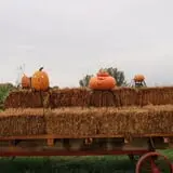 Lester Farm & Market photo