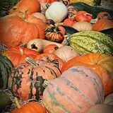 Lester Farm & Market photo
