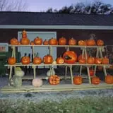 Lester Farm & Market photo