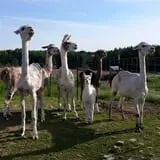 Glacier Rock Farms photo