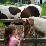 Glacier Rock Farms photo