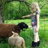 Glacier Rock Farms photo