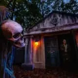 Scream Town photo