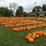 Puckerville Farms photo