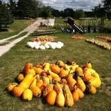 Puckerville Farms photo