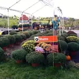 Puckerville Farms photo