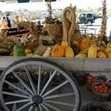 Puckerville Farms photo