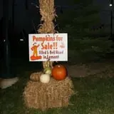 Puckerville Farms photo