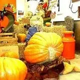 Puckerville Farms photo
