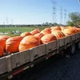 Puckerville Farms photo