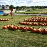 Puckerville Farms photo