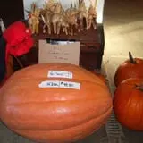 Puckerville Farms photo