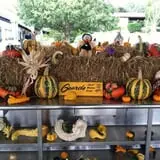 Puckerville Farms photo