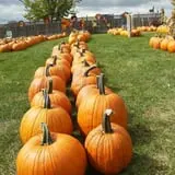 Puckerville Farms photo