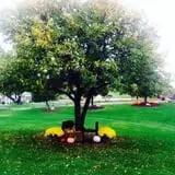 Puckerville Farms photo