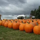Puckerville Farms photo