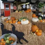 Puckerville Farms photo