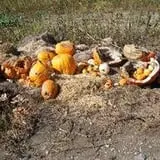 Puckerville Farms photo