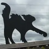 Puckerville Farms photo