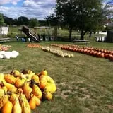 Puckerville Farms photo