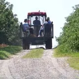 North Star Orchards photo