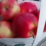 North Star Orchards photo
