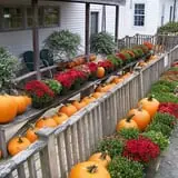 North Star Orchards photo