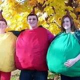 North Star Orchards photo