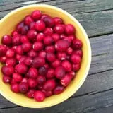North Star Orchards photo
