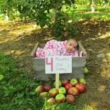 North Star Orchards photo