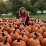 Cayford Orchards photo
