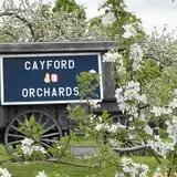 Cayford Orchards photo