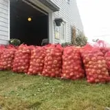 Cayford Orchards photo