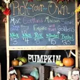 Cayford Orchards photo