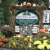 Scottsdale Farms Pumpkin Patch photo