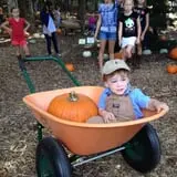 Scottsdale Farms Pumpkin Patch photo