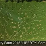 Salisbury Farm Corn Maze & Pumpkin Patch photo