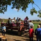 Salisbury Farm Corn Maze & Pumpkin Patch photo
