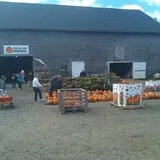 Salisbury Farm Corn Maze & Pumpkin Patch photo