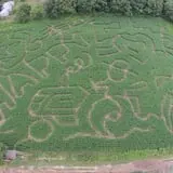 Salisbury Farm Corn Maze & Pumpkin Patch photo